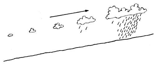 Планиверсум. Виртуальный контакт с двухмерным миром - img_008.jpg