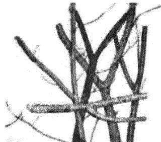 Стрельба из рогатки (ЛП) - _19.jpg