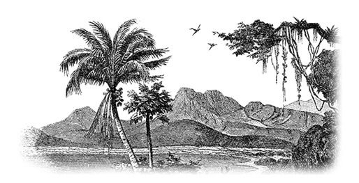 Путешествие в Индию - i_117.jpg