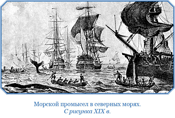 Открытие Антарктиды - i_037.jpg