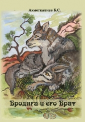  Ахметкалиев Булат Сергеевич - Бродяга и его Брат