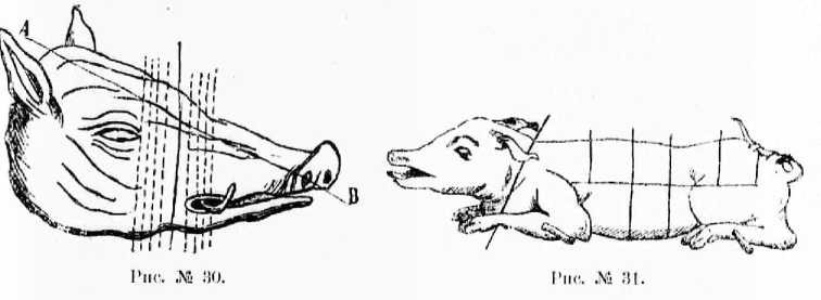 Поварское искусство - _30.jpg