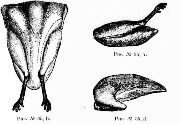 Поварское искусство - _37.jpg
