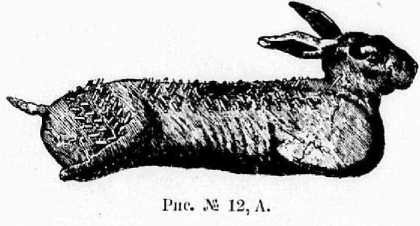 Поварское искусство - _10.jpg