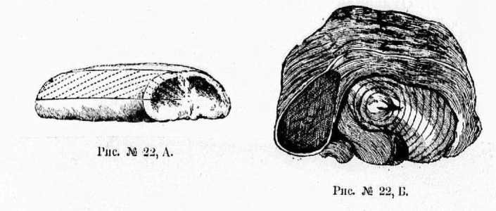 Поварское искусство - _29.jpg