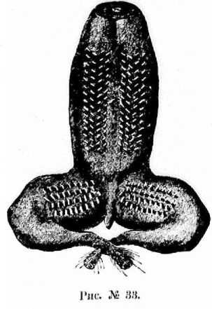 Поварское искусство - _34.jpg