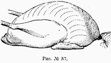 Поварское искусство - _39.jpg
