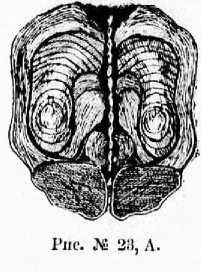 Поварское искусство - _25.jpg