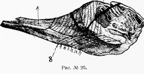 Поварское искусство - _28.jpg