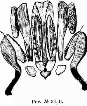 Поварское искусство - _36.jpg