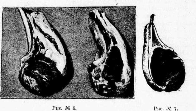 Поварское искусство - _5.jpg