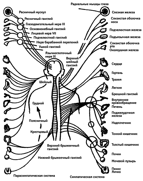Жизнь без таблеток - i_001.png