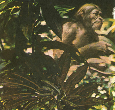 Недостающее звено - _000001ff.jpg