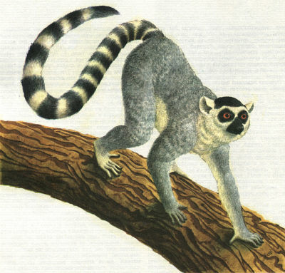 Недостающее звено - _000013f1.jpg