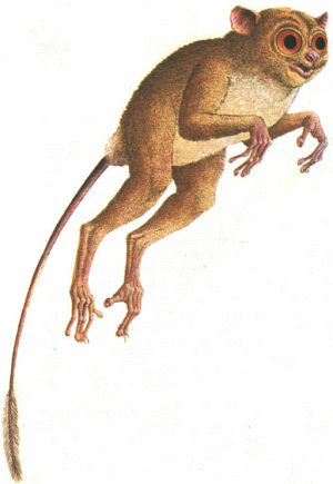 Недостающее звено - _000014f1.jpg