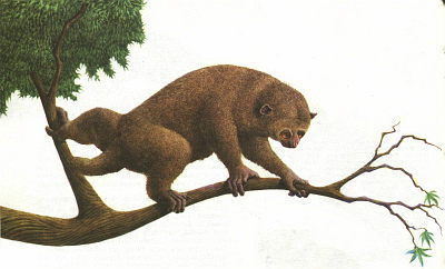 Недостающее звено - img011f1.jpg