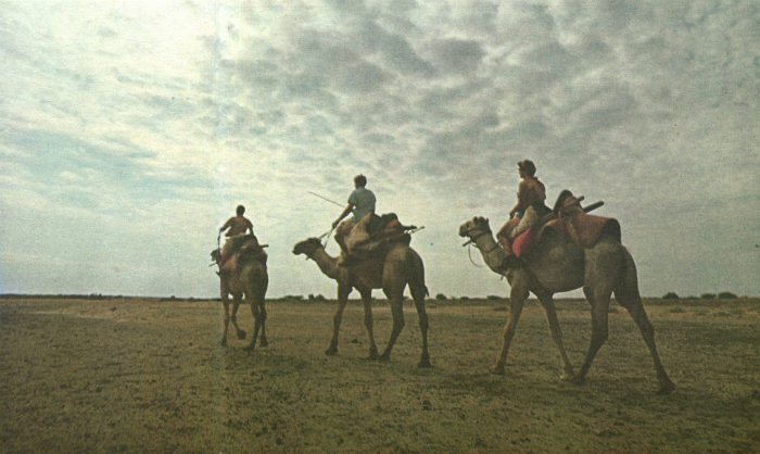 Недостающее звено - img017f.jpg