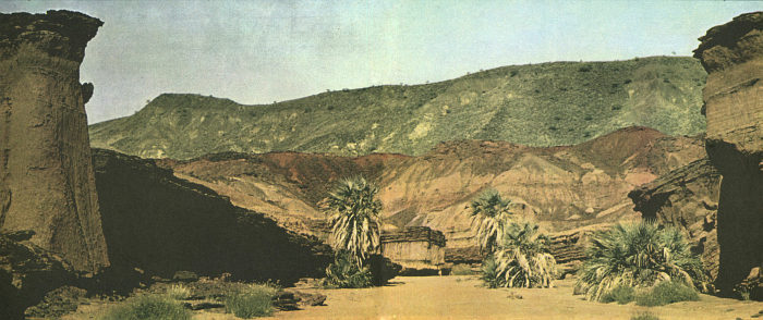 Недостающее звено - img018f1.jpg