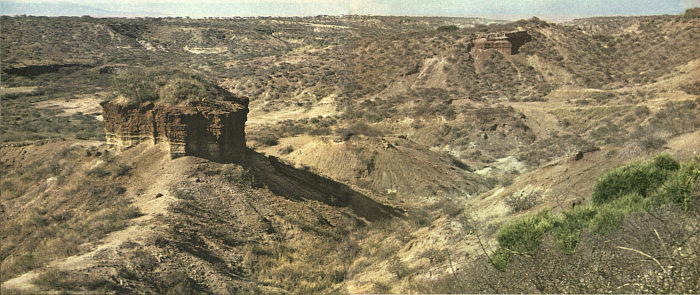 Недостающее звено - img020f1.jpg