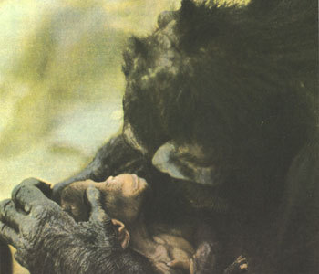 Недостающее звено - img026sf.jpg