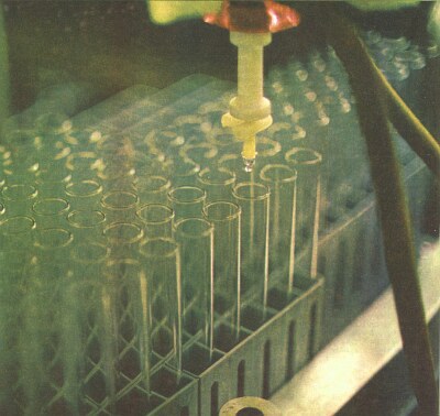 Недостающее звено - img030f.jpg