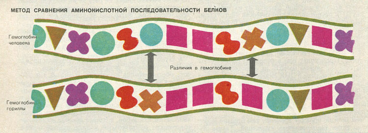 Недостающее звено - img032f1.jpg