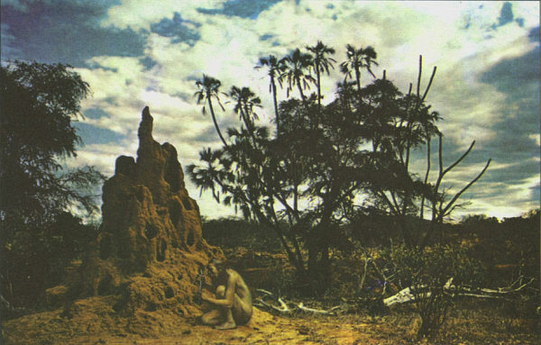 Недостающее звено - _000003f.jpg