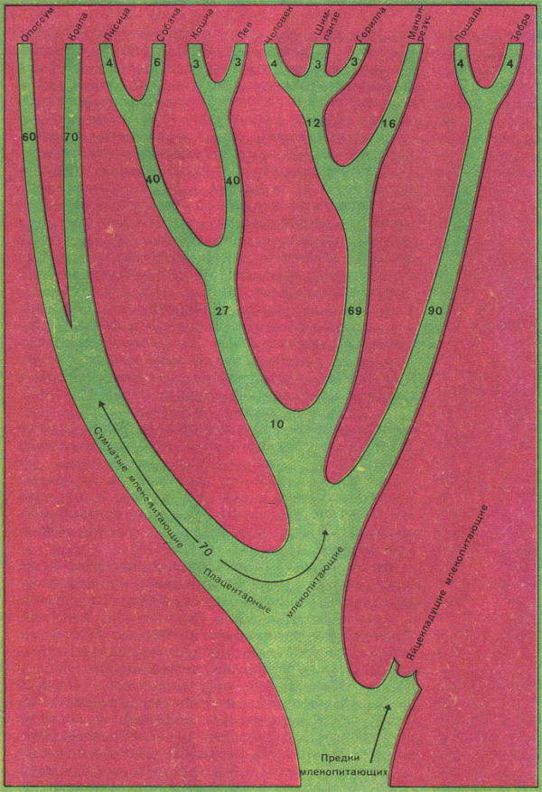 Недостающее звено - _000047ff.jpg