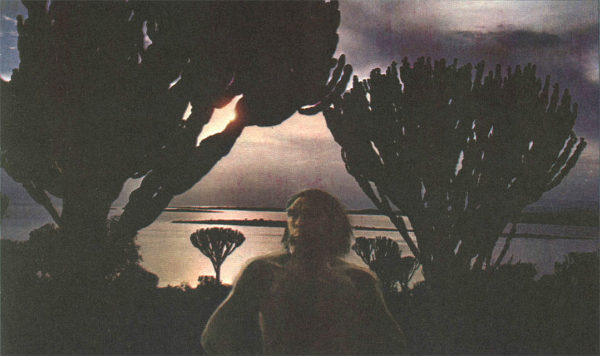 Недостающее звено - img002f.jpg