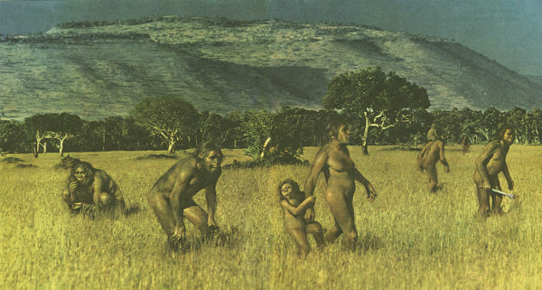 Недостающее звено - img005f.jpg