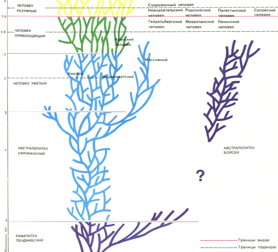 Недостающее звено - img034f.jpg