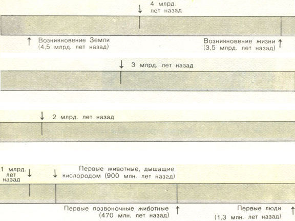 Недостающее звено - img037f5.jpg