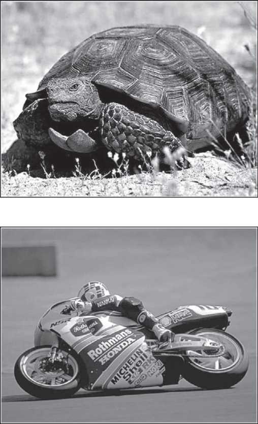 Физика - i_044.jpg