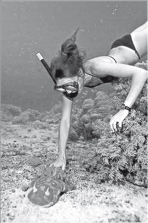 Физика - i_085.jpg