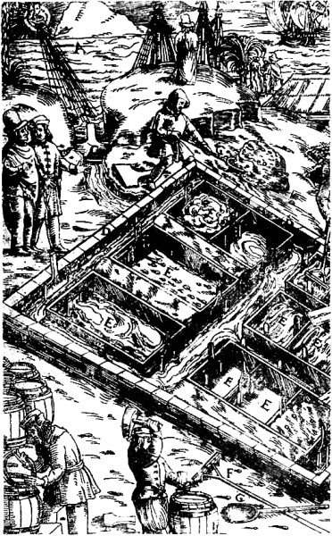 Происхождение вилки. История правильной еды - i_008.jpg