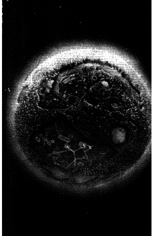 Ультиматум. Ядерная война и безъядерный мир в фантазиях и реальности - i_002.png