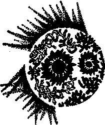 В мире незримого - i_005.png