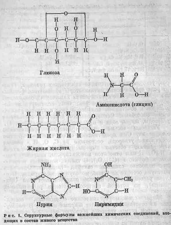 Возникновение и развитие жизни на Земле - i_003.jpg