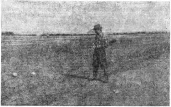 Записки палеонтолога. По следам предков - i_005.jpg