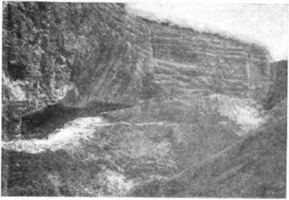 Записки палеонтолога. По следам предков - i_010.jpg