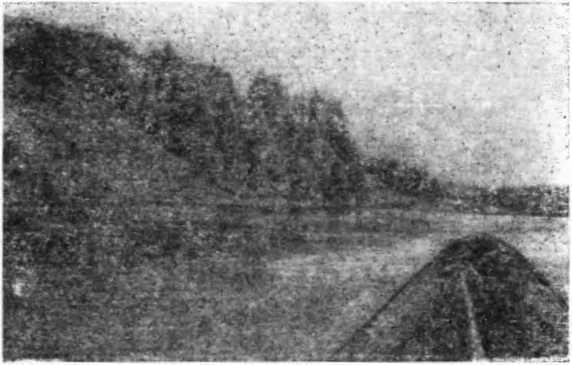 Записки палеонтолога. По следам предков - i_025.jpg