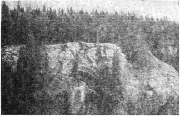 Записки палеонтолога. По следам предков - i_026.jpg