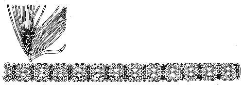 Вечный человек - i_008.png