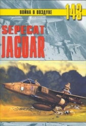 Sepecat «jaguar» - автор Никольский Михаил 
