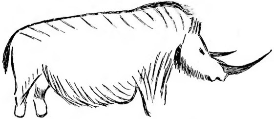 Почему вымерли мамонты - i_010.jpg