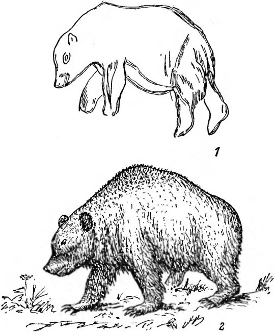 Почему вымерли мамонты - i_017.jpg