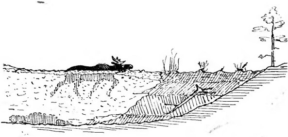 Почему вымерли мамонты - i_024.jpg