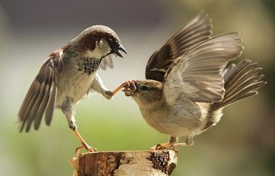 Радиобеседы - i_059.jpg