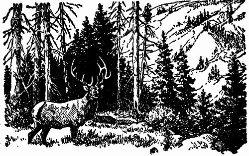 Исчезающие животные Америки - _13.png