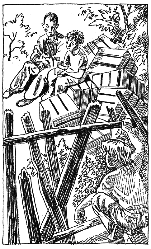 Тайны огонь-горы, или Полосатое лето - i_022.png